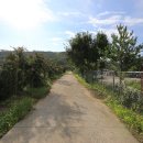 코끼리 관광농원 이미지