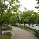 마음편한정신건강의학과의원 이미지