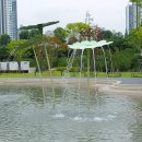 조이풀(Joy Pool) 이미지