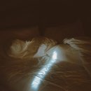 경희소중한의원 이미지