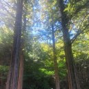 만의골 보리밥집 이미지