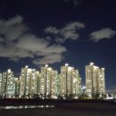 단순명쾌