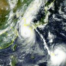 김천온천니아 이미지