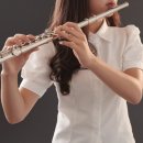 플룻 (고급) | 교습용, 학습용으로 적합한 정품 입문용 플룻