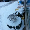 새하얀세상 이미지