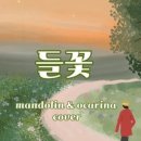 H5922 네이버블로그