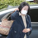 돈미향