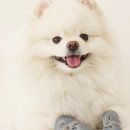 이가디자인랩 이미지