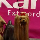 파라키스 이미지