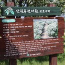 대구 달성(大邱 達城) | 대구광역시 달성군 옥포면 교항리 이팝나무 군락지.