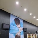 칠이십사슈퍼 | 230212 김성규 콘서트 'LV2 (LIKE YOUR VIBES)' 막콘 후기 / YES24 라이브 홀 2층 시야