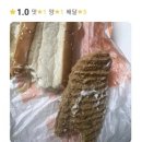 정중