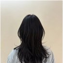 그리니헤어 | 자연스러움에 반하고, 스타일에 감탄한 그리니헤어 후기