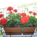 자상농장 이미지