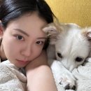 라니펫