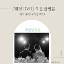 푸른 달 | W4. [웨딩 DVD] 푸른달필름 계약 후기(+짝꿍코드O+커피쿠폰)