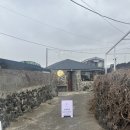 월정조용한카페앤펍 | 제주 월정리 강아지와 함께 사진 찍을 수 있는 월정 조용한 카페 앤 펍