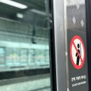 서울삼성비뇨기과 | 70대 아빠의 전립선암 (2) 병리병기 2기 확진 산정특례 NCCN 고위험 흉복부CT