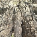 거산어린이집 이미지