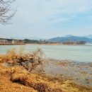 강산회 이미지