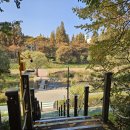 러쉬헬스 이미지