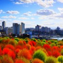 세븐일레븐 울산해양점 이미지