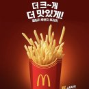 튀김매니아 티스토리