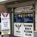 서울 은평 태권도 | 은평구 류태권도장 추천 후기