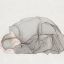 수보리 이미지