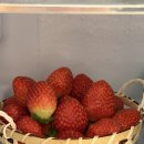 요와스테이 | [수영/광안] 에어비앤비 요와스테이 후기 내돈내산 대형 숙소 단체 다인원 10인 이상 수영역 근처