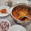 돌고래스파펜션