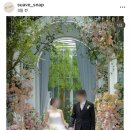 서브힐링 | [W.03] 서브스냅 ㅣ 수아브 서브스냅 계약 후기 (밝은홀 강추)