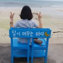 달이머무는바다 이미지