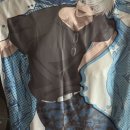시바직구 이미지