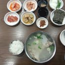 미포 오션사이드 호텔(MIPO OCEANSIDE HOTEL) 티스토리