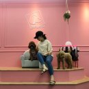 멍브라더 애견카페 이미지