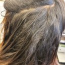 우리미용실 | 회룡역미용실 호원동, 우리헤어 클리닉 후기