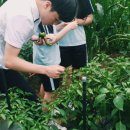 흥선농장 이미지