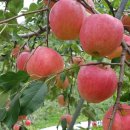 사촌농장 이미지