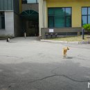 두원공과대학(학생회관) 네이버블로그