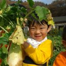 은천농장1 이미지