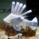 자연의 움직임 이미지