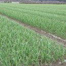 수하농장 이미지