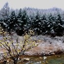 고향 - 서구 | 고향