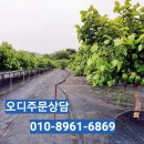 농업회사법인 유한회사 우리농장 이미지