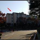 분당동143 이미지