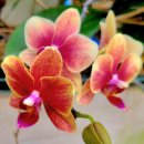 아산가든 이미지