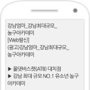 올댓바스켓 이미지