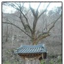 월악산공이동 이미지