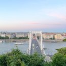 애리네 민박 이미지